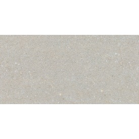 Керамогранітна плитка Stevol Stone lapatto light grey 40х80 см (W4817AII-B)