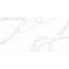 Керамограніт Stevol Staturio calacatta 60х120 см (T61295) Хуст