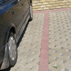 Тротуарная плитка Золотой Мандарин Парковочная решетка 500х500х80 мм на сером цементе горчичный