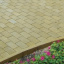 Тротуарна плитка Золотий Мандарин Цегла стандартна 200х100х60 мм на сірому цементі гірчичний Київ