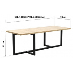 Обідній стіл в стилі LOFT 2000x900x750 (Table - 033) Київ