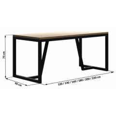 Обеденный стол в стиле LOFT 1800x900x750 (Table - 209) Киев