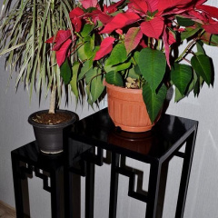 Комплект 2 подставки для цветов в стиле LOFT (Support for Flowers-30) Киев