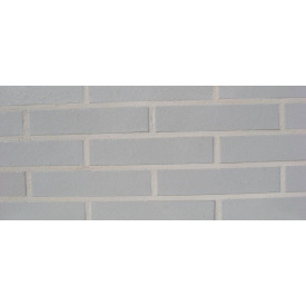 Фасадна облицювальна цегла АВС-Klinkergruppe Silver Grey 220x105x48 мм (Ref. 3608 L)