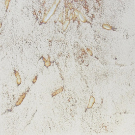 Плитка для підлоги АВС-Klinkergruppe Austria Saltzburg 310х310x8 мм