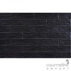 Фасадна плитка 245х65 CERRAD ELEWACJA Nero 9713 (чорна, структурна) Чернівці