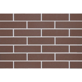 Цегла облицювальна ECOBRICK гладкий каштановий 250х120х65 мм