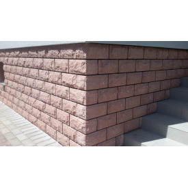 Плитка цокольна лицювальна 250х22х120 мм