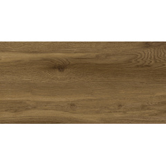 Керамічна плитка для підлоги Golden Tile Terragres Kronewald коричнева 307x607x8,5 мм (977940) Рівне