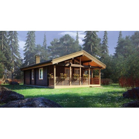 Будинок дерев'яний з профільованого бруса 12х8 м