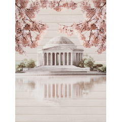 Керамогранитная плитка настенная Cersanit Sakura Panno Palace 450х600х8,5 мм Киев