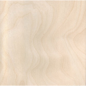 Фанера вологостійка 21 мм 2500х1250 СР/С