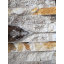 Декоративная плитка мрамор бело-желтый 2х5х30 см Киев