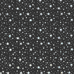 Панель ПВХ ES 07.31 Звездное небо black RIKO Киев