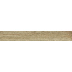 Керамогранітна плитка Ragno Woodglam Naturale R06P 10х70 см (УТ-00019515)