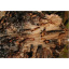 Антипирен Огнебиозащита древесины Антисептик ConWood Cristal Premium Концентрат Порошок 1кг Чернівці
