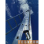 Лестница алюминиевая трехсекционная 3 х 12 ступеней (профессиональная) Чернігів