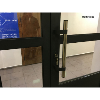 Алюмінієві двері марки Aluprof (Польща) з фарбуванням для дому, двері з високою прохідністю