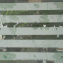 Тканинні рулонні жалюзі День-Ніч відкрита система 1250х2000 мм Білий Чернігів