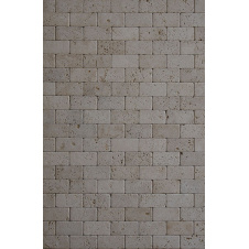 Травертин LIGHT TUMBLED 1x7,5x15 см