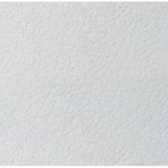 Плита PLAIN Prima Board 600х600х15 мм Лозова