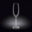 Набор бокалов Wilmax для шампанского 230 мл 2 шт (WL-888005/2C) Херсон