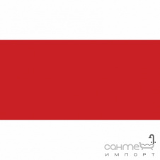 Плитка настінна 20x40 RAKO Color Red One Матова RAL 0304060 WAAMB373
