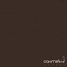 Плитка настенная 20x20 RAKO Color One Dark Brown Глянцевая RAL 0502010 WAA1N671