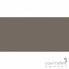 Плитка настінна 20x40 RAKO Color One Grey-Beige Глянець RAL 0805010 WAAMB303