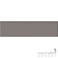 Плитка плінтус 29,8x8 RAKO Taurus Color TSAJB007 07 S Dark Grey