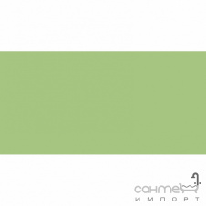 Плитка настінна 20x40 RAKO Color One Light Green Матова RAL 1208050 WAAMB465