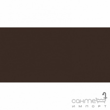Плитка настенная 20x40 RAKO Color One Dark Brown Матовая RAL 0502010 WAAMB681