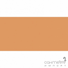 Плитка настінна 20x40 RAKO Color One Dark Orange Матова RAL 0607050 WAAMB282