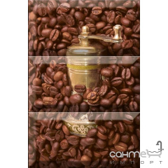 Плитка керамічна декор Absolut Keramika Coffe Beans Composition 01 30х20 Київ