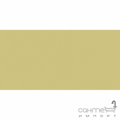 Плитка настінна 20x40 RAKO Color One Yellow Матова RAL 0908040 WAAMB221 Київ