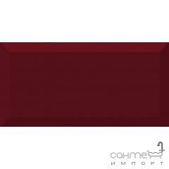 Плитка ABSOLUT KERAMIKA MONOCOLOR BURDEOS BISELADO BRILLO 10х20 Чернігів