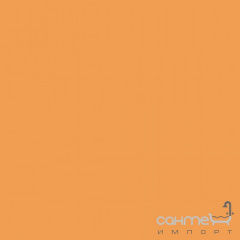 Плитка RAKO WAA19282 - Color One лицювальна RAL 0607050 Київ