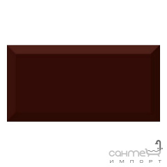 Плитка ABSOLUT KERAMIKA MONOCOLOR MARRON BISELADO BRILLO 10х20 Токмак