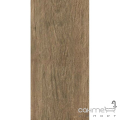 Керамічний граніт Atlas Concorde Aхi Chestnut Brown 45х90 ADU6 (під дерево) Запоріжжя