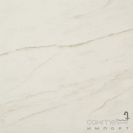 Керамічний граніт Atlas Concorde Marvel PRO Marvel Cremo Delicato 60х60 AVGD