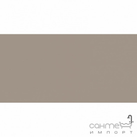 Плитка настінна 20x40 RAKO Color One Beige-grey Поліестер RAL 0607010 WAAMB302