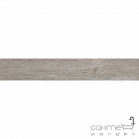 Керамограніт під дерево 25x150 Atlas Concorde Axi R10 Silver Fir Сірий