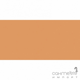 Плитка настенная 20x40 RAKO Color One Dark Orange Глянец RAL 0607050 WAAMB272