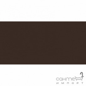 Плитка настенная 20x40 RAKO Color One Dark Brown Глянец RAL 0502010 WAAMB671