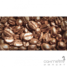 Плитка керамічна декор Absolut Keramika Coffe Beans 01 10х20 (зерна кави)