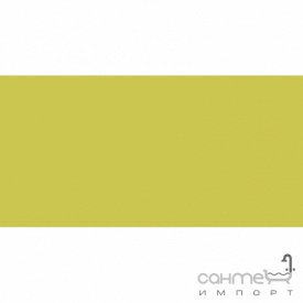 Плитка настінна 20x40 RAKO Color One Yellow-Green Матова RAL 0958070 WAAMB464