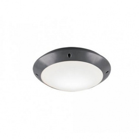 Потолочный светильник TRIO R60501042 (R60501042)