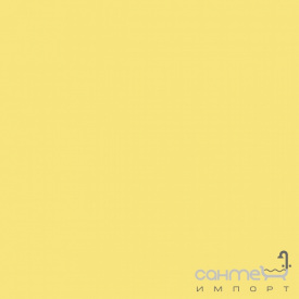 Плитка RAKO WAA19221 - Color One лицювальна RAL 0908040