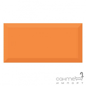 Плитка ABSOLUT KERAMIKA MONOCOLOR NARANJA BISELADO BRILLO 10x20