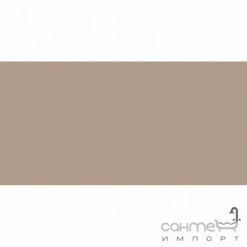 Плитка настінна 20x40 RAKO Color One Light Beige-brown Глянець RAL 0607020 WAAMB301
